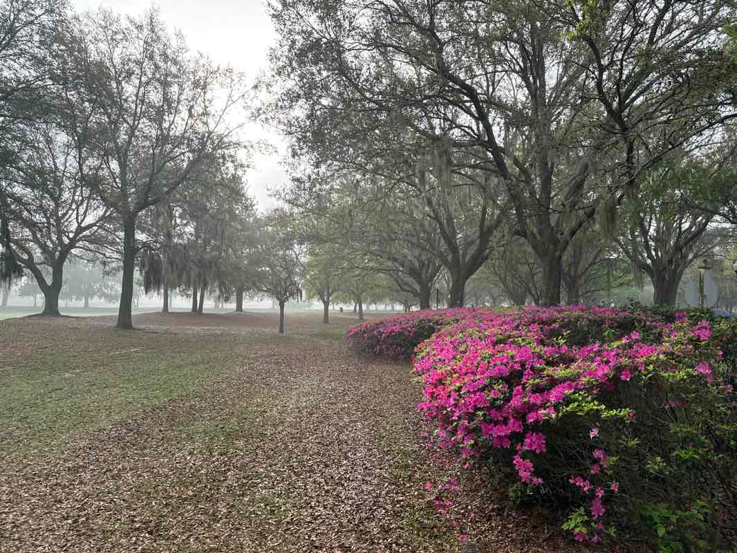 walking near me in Cypress Grove Park in winter