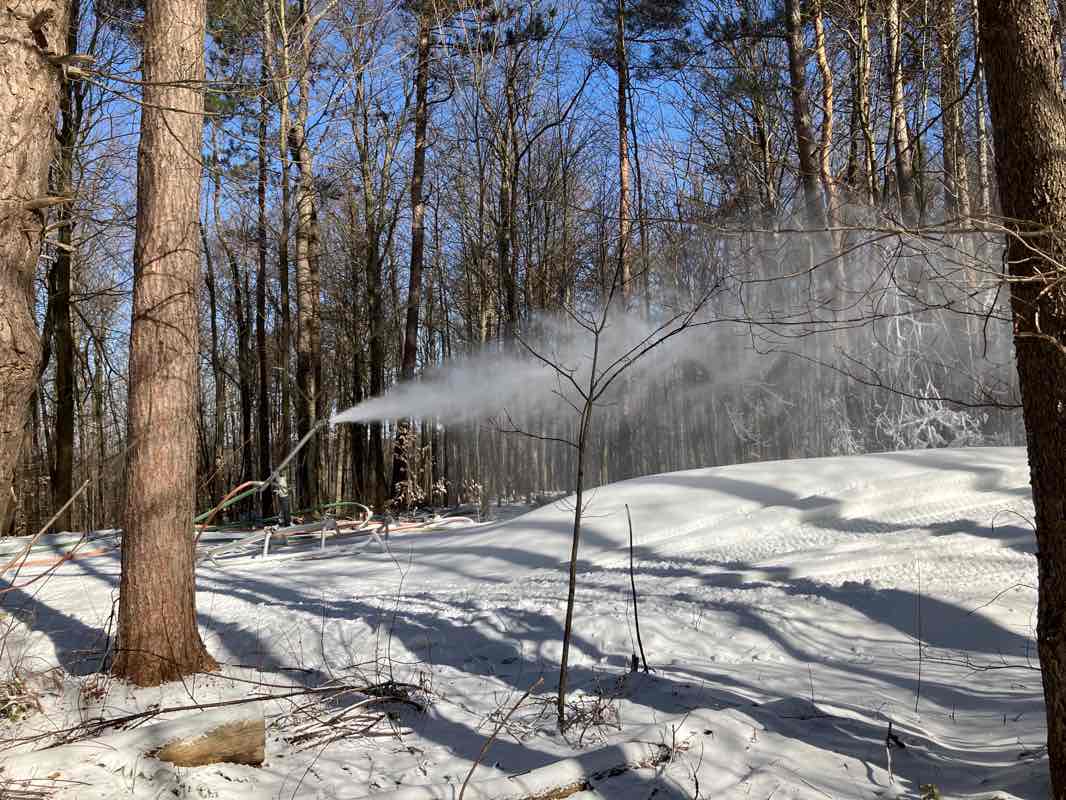 walking near me in James Kennedy State Forest in winter