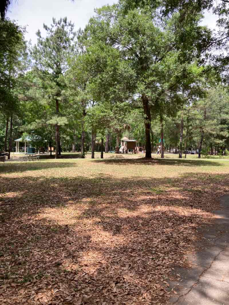 walking near me in Scott Springs Park in winter