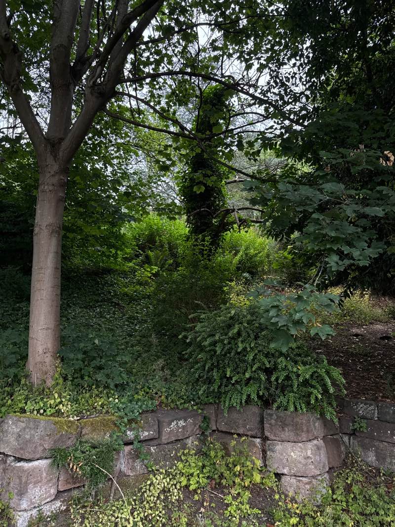 walking near me in Verdin Park in autumn