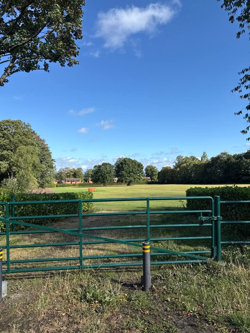 walking near me in May Field in autumn