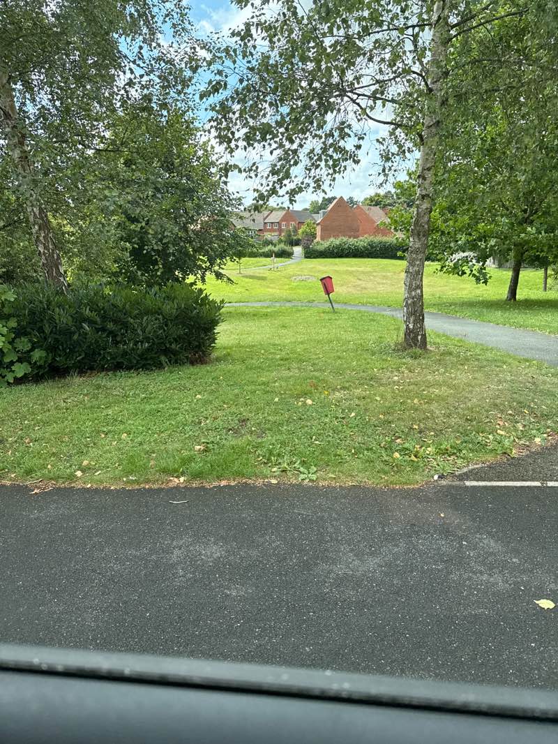 walking near me in Forest Edge park in autumn
