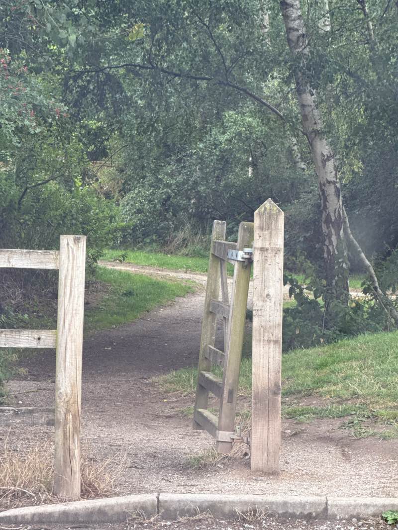 walking near me in Weaver Parkway in autumn