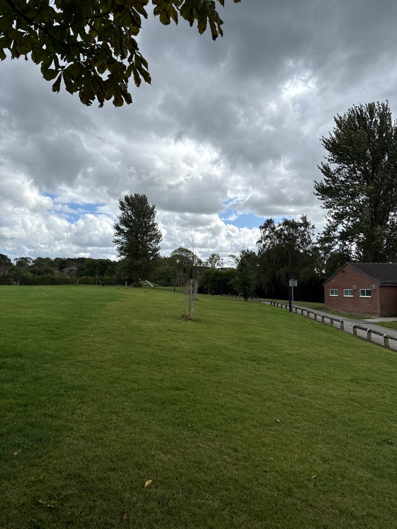 walking near me in High Lane Park in autumn
