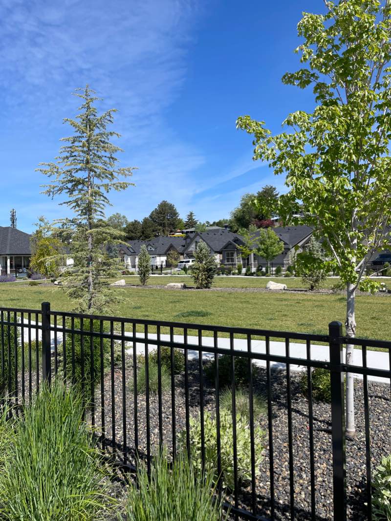 walking near me in Stephen C. Guerber Park in winter