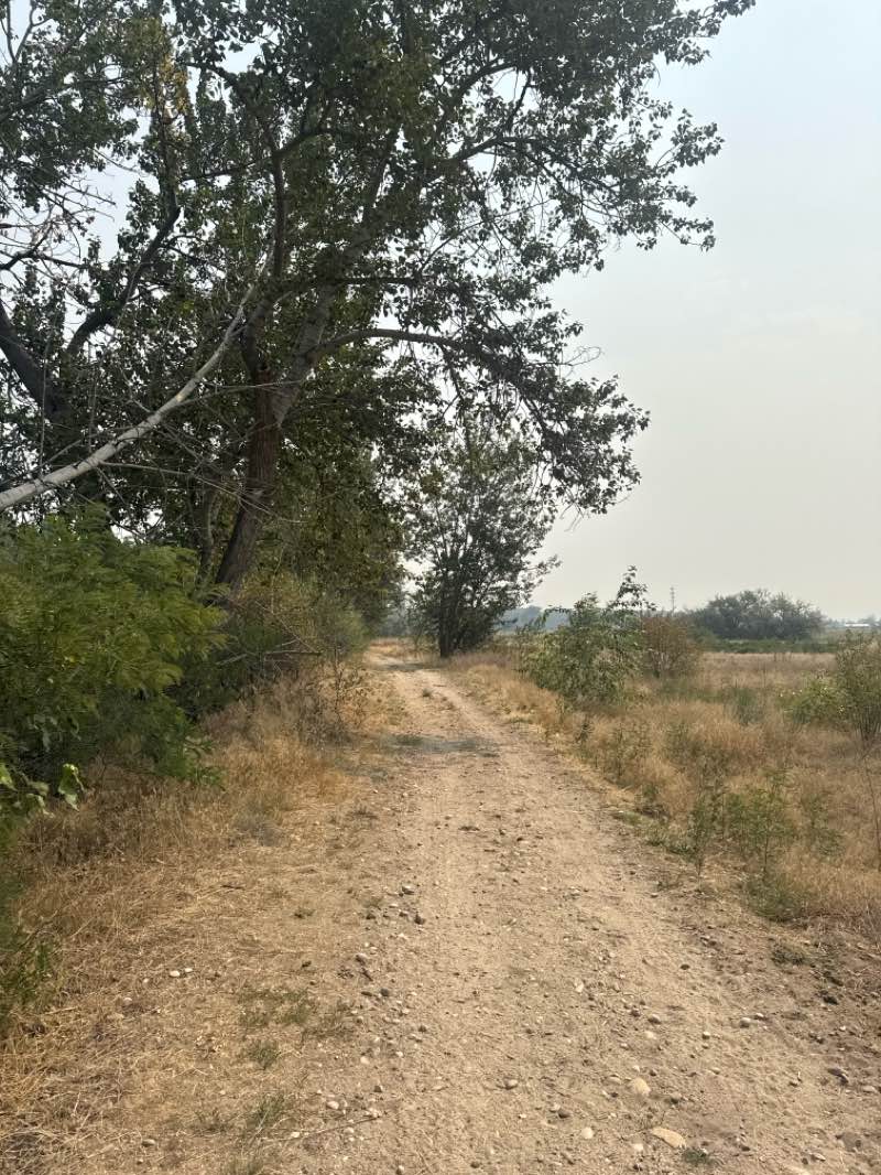 walking near me in Eagle Island State Park in summer