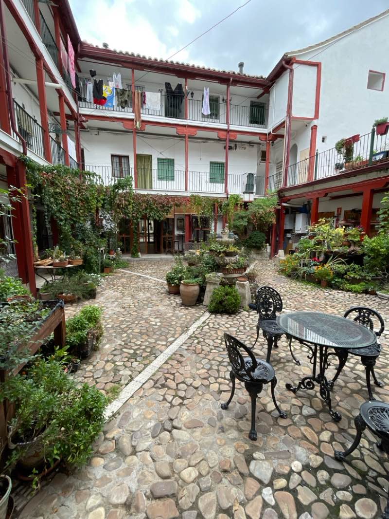 walking near me in Jardín de Isabel II in winter