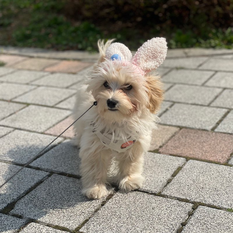 숙정