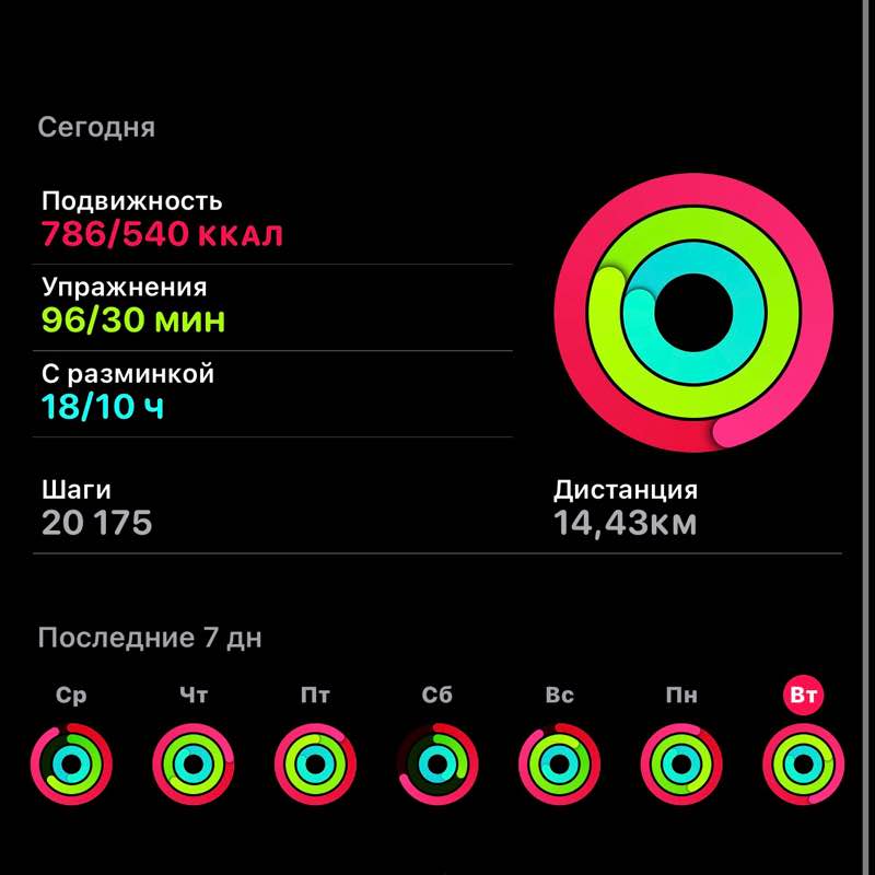 🧚‍♀️Lady_GG post 3