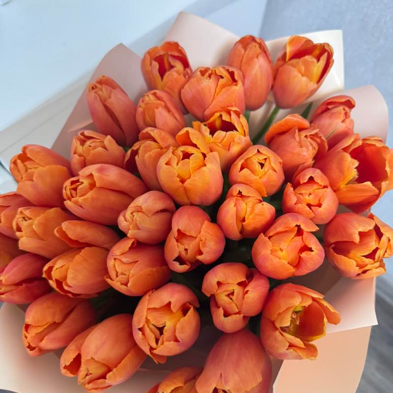 🧚‍♀️Lady_GG post 3