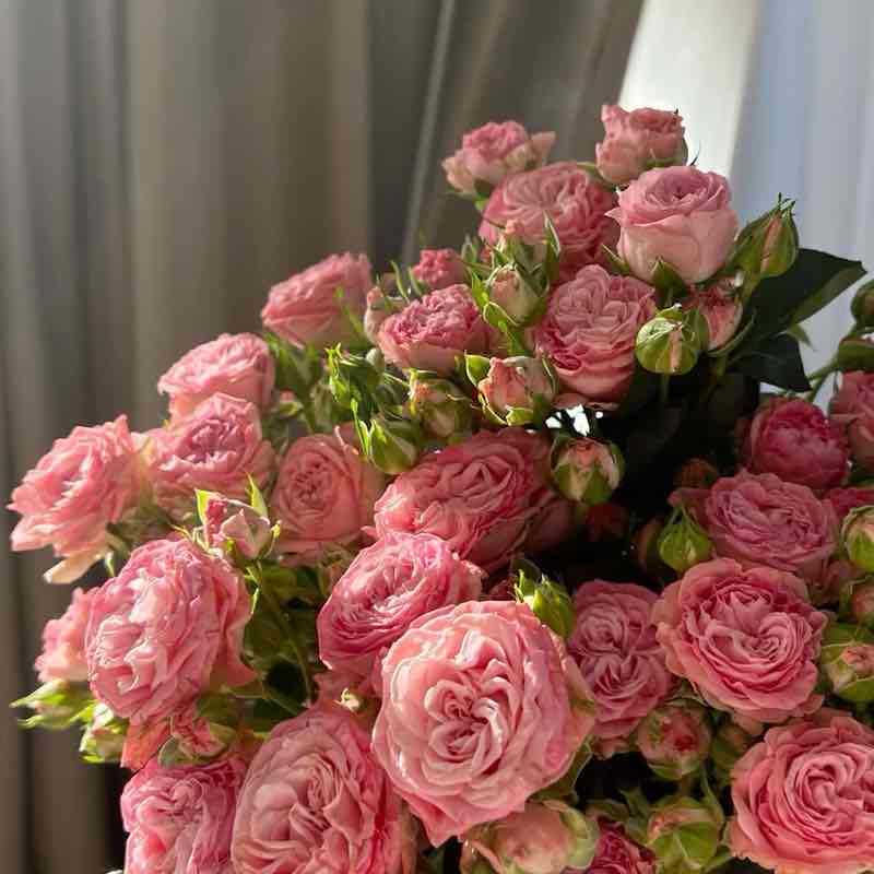 🧚‍♀️Lady_GG post 1