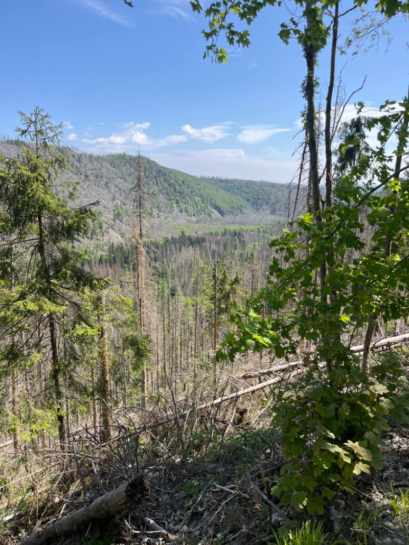 walking near me in Heinepark in winter