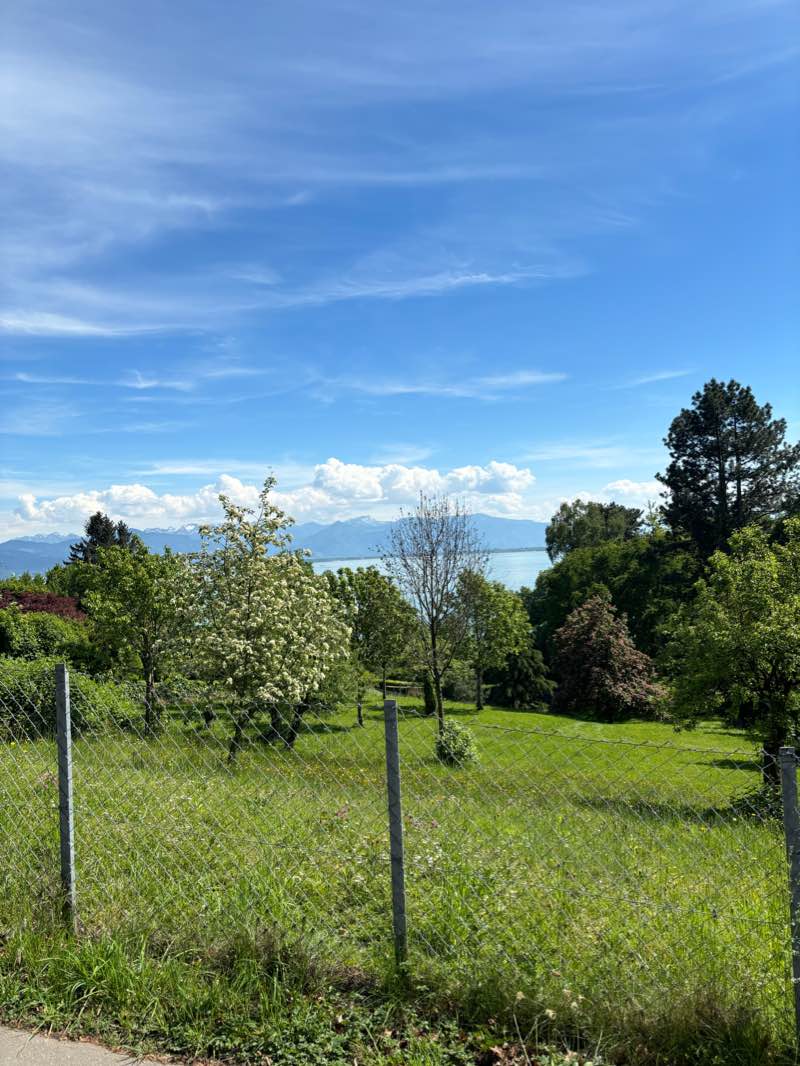 walking near me in Uferpark Aeschach in winter