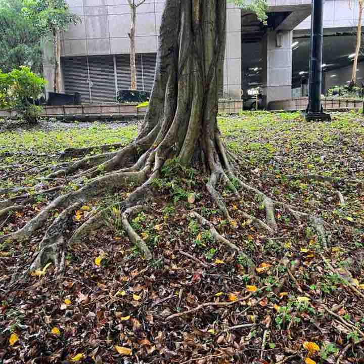 January Steps Challenge 秋美 post image