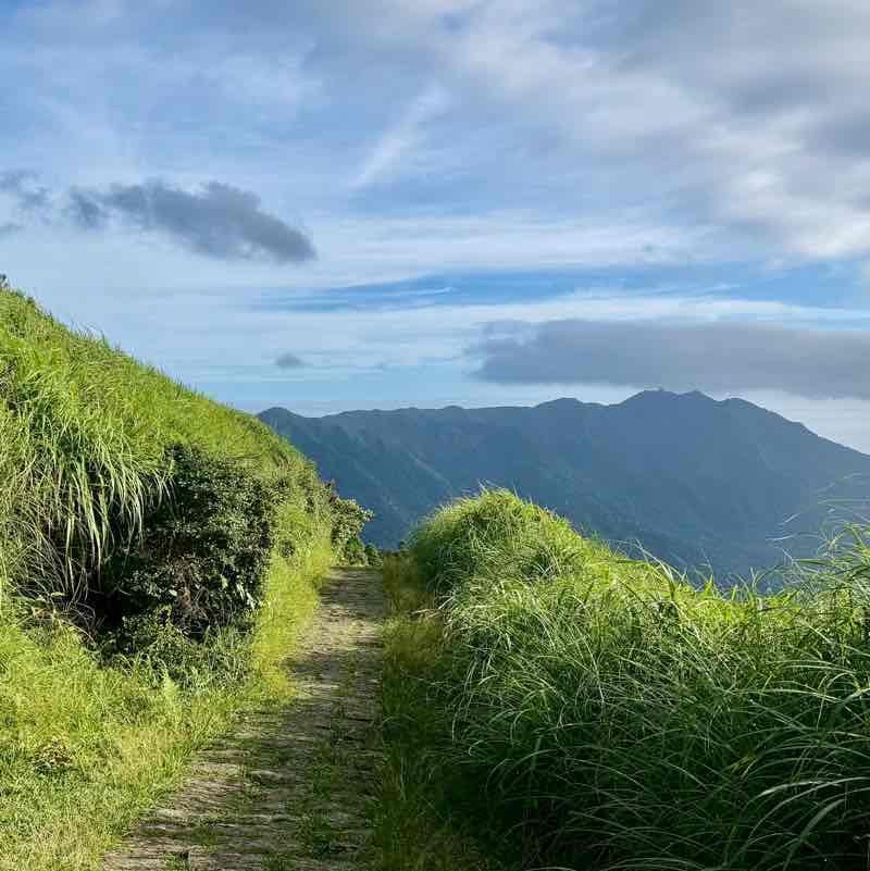 秋美 post 3
