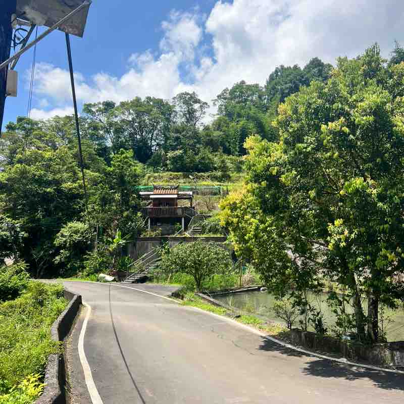 秋美 post 2