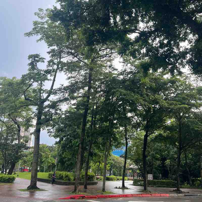 秋美 post 2