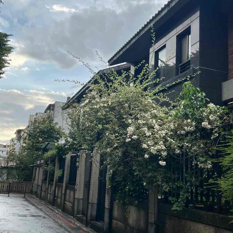 秋美 post 1