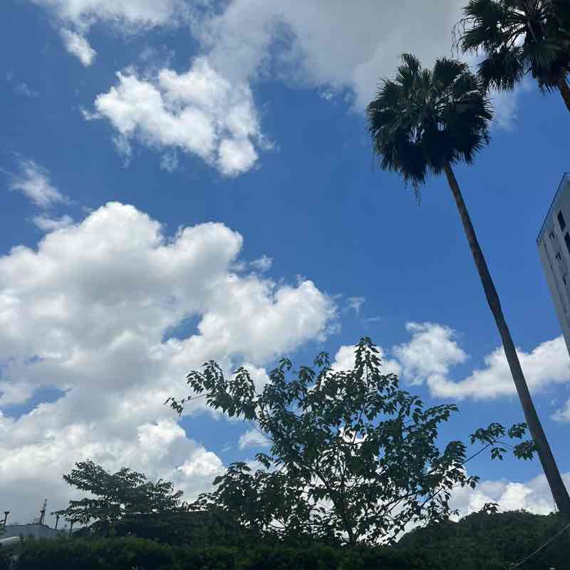 秋美 post 1