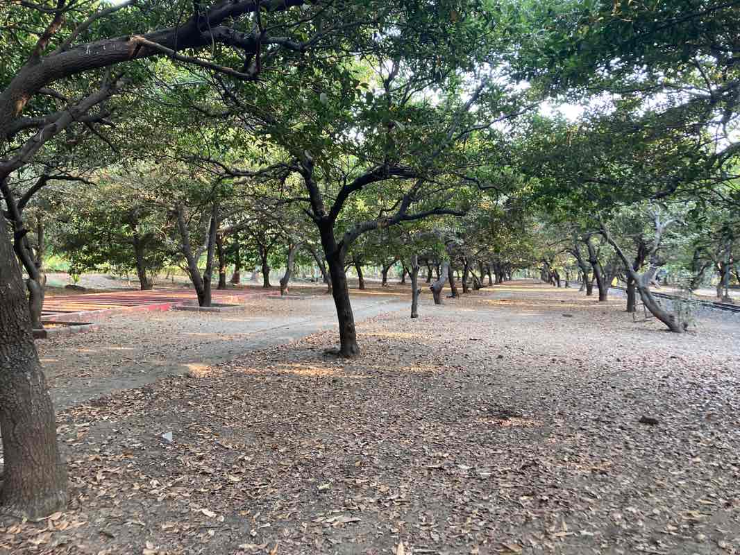 walking near me in Botanical Garden in winter