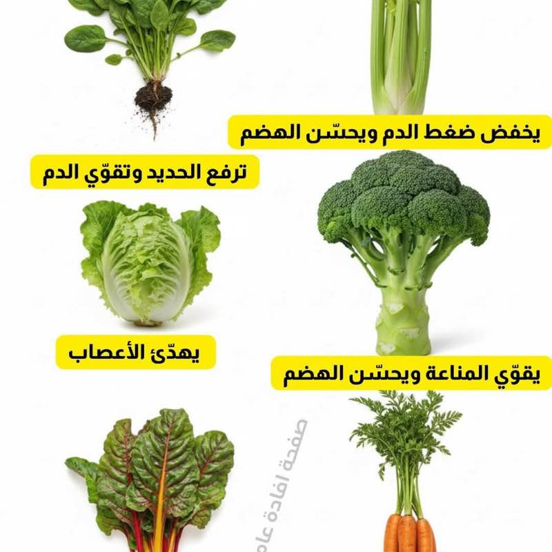 نادي واحة هجر للمشي والجري HOC السيد احمد عبدالله الحسن المدني post image