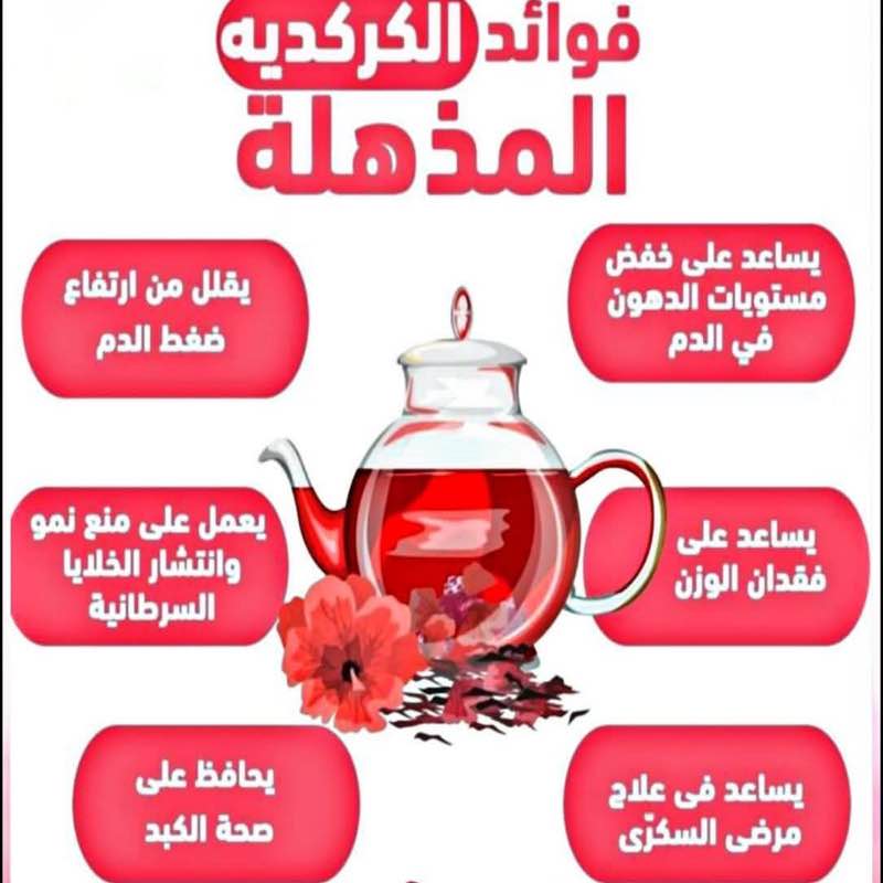 نادي واحة هجر للمشي والجري HOC السيد احمد عبدالله الحسن المدني post image