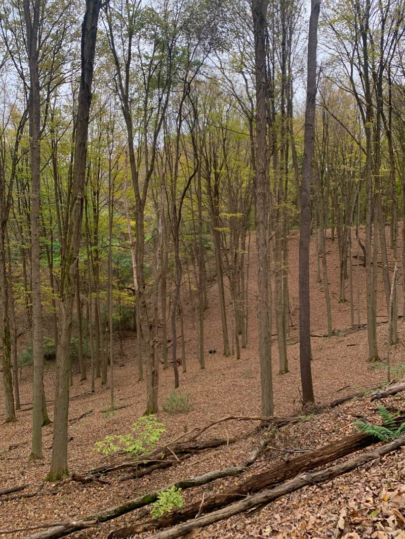 walking near me in Rand Tract Park in winter