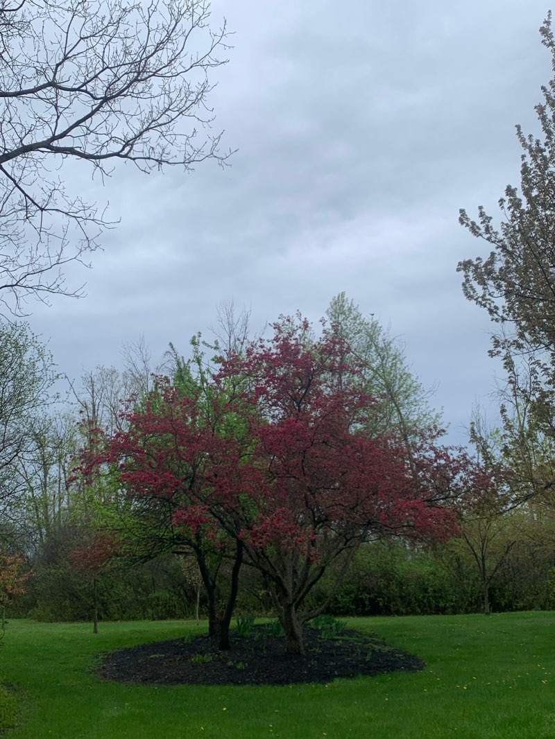 walking near me in Special Events Field in winter