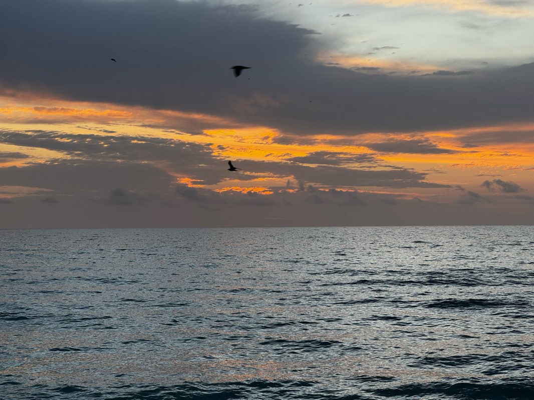 walking near me in Intracoastal Park North in winter
