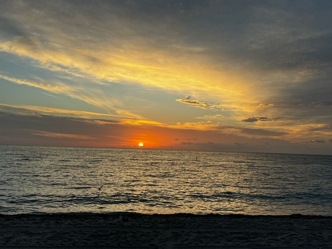 walking near me in Town Center Park in winter