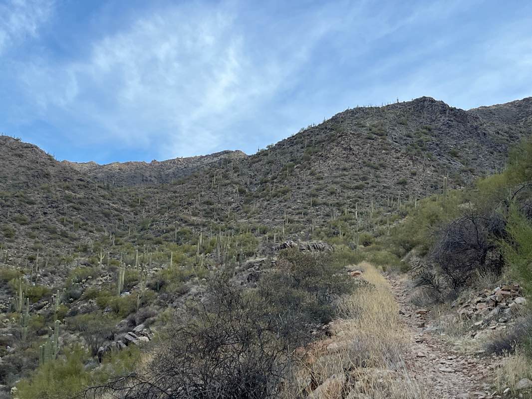 walking near me in McDowell Sonoran Preserve in winter