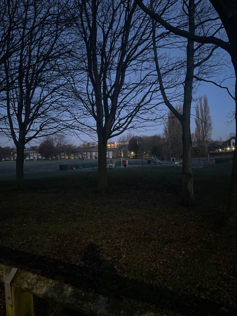 walking near me in Queen Elizabeth Park in winter