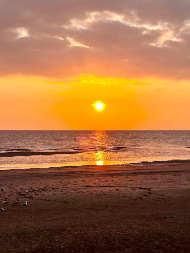 walking near me in Jubilee Gardens in winter