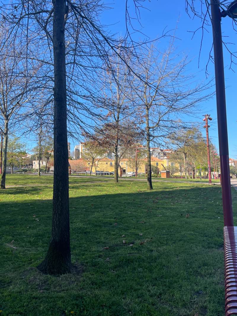 walking near me in Jardim da Música in spring