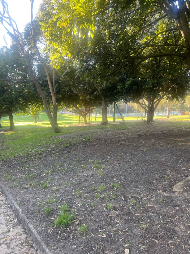 walking near me in Camperdown Park in spring