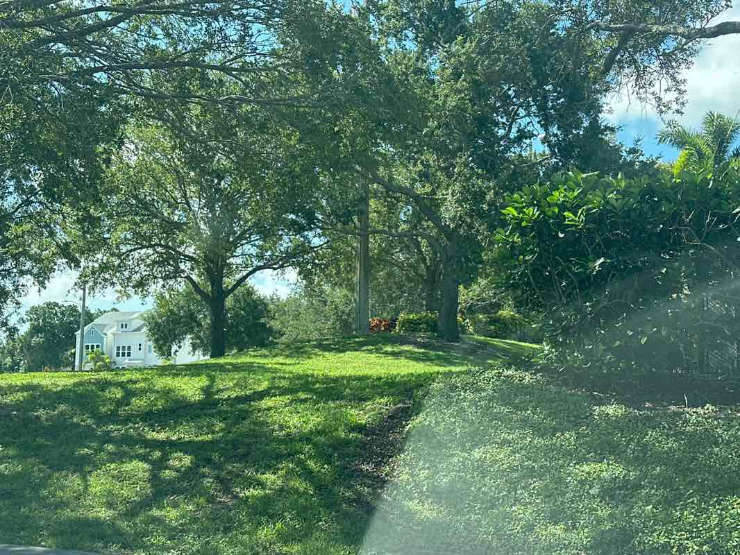 walking near me in Payne Park in summer