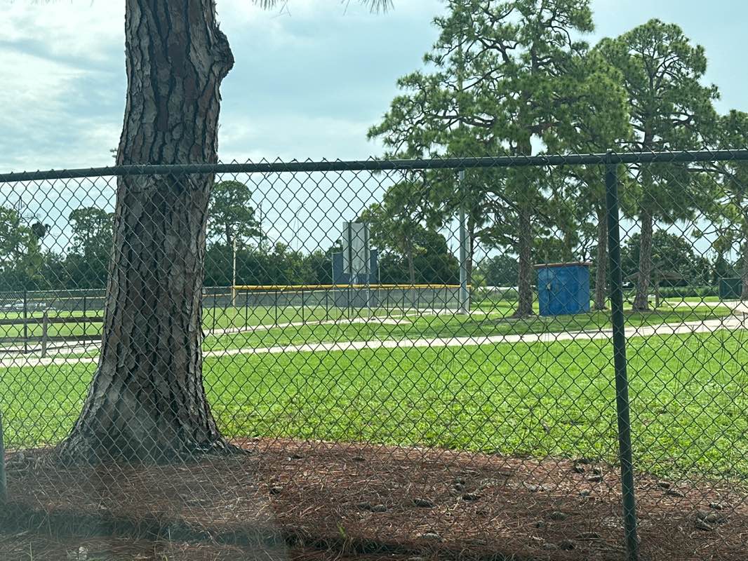 walking near me in Babe Ruth Park in summer