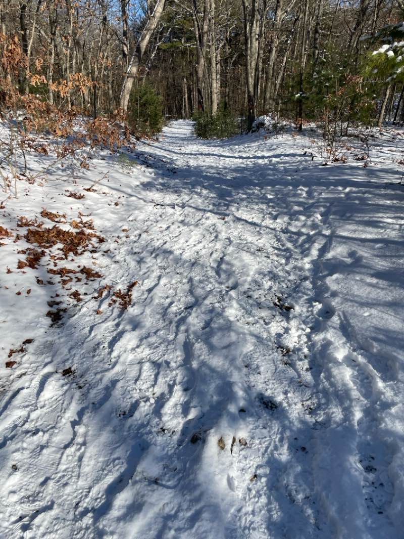 walking near me in Middlesex Fells Reservation in winter