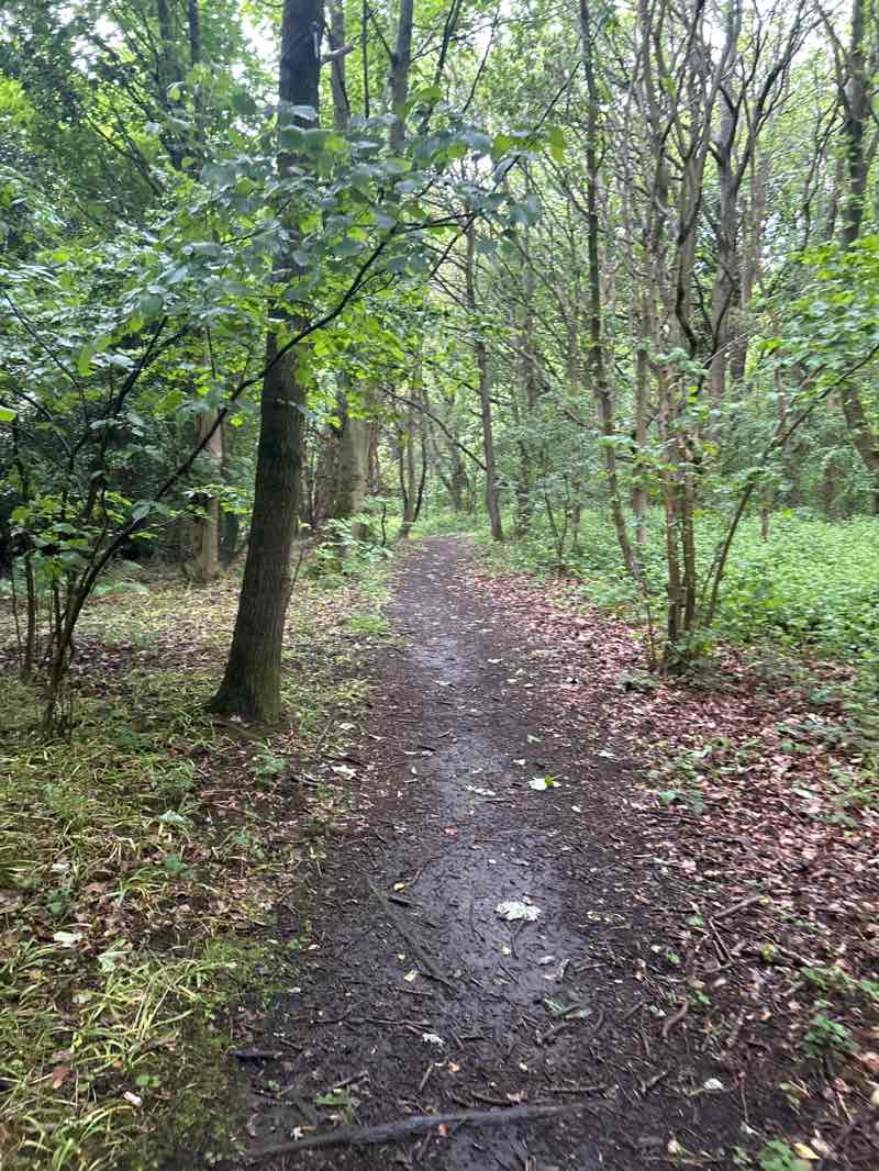 walking near me in Hetton Park in summer