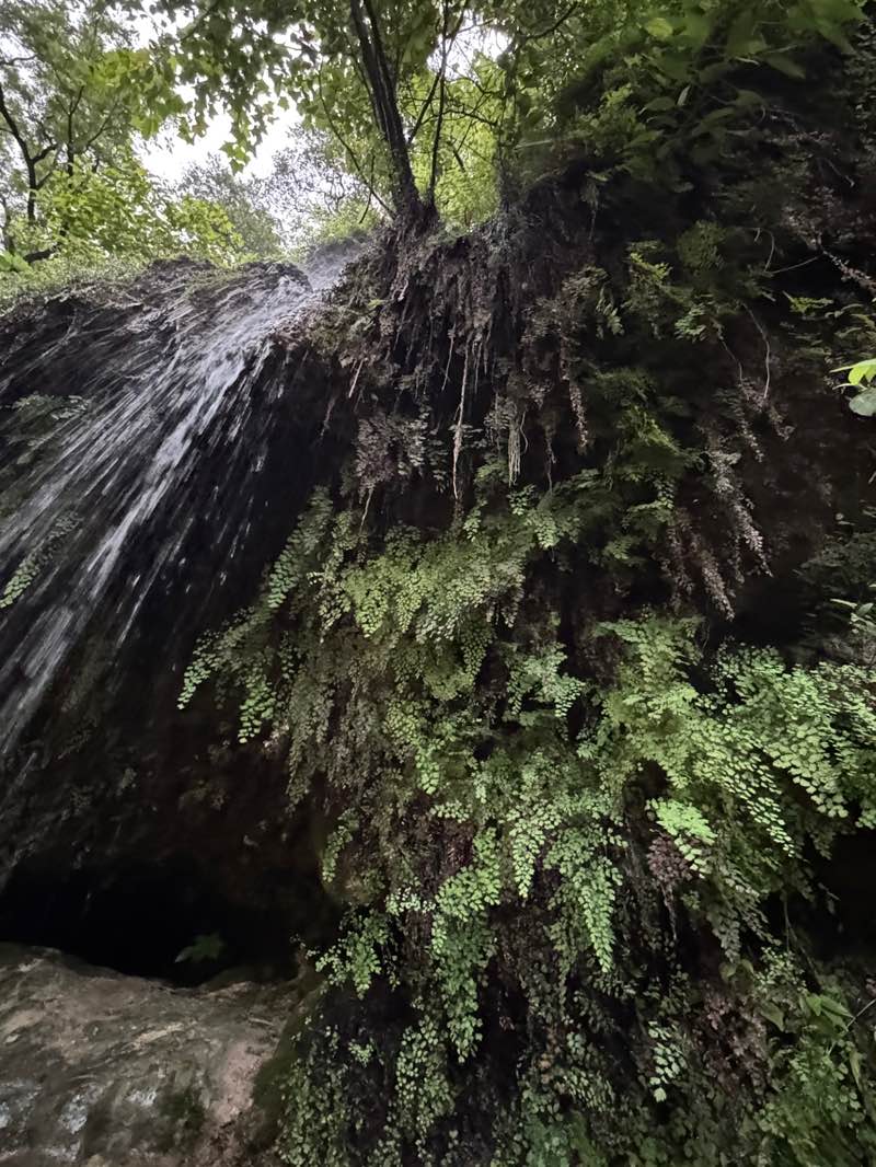 walking near me in Krause Springs in summer