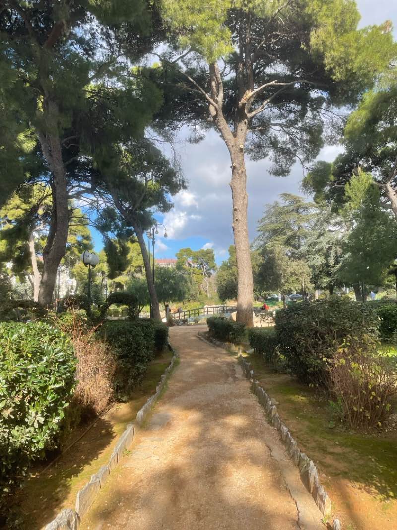 walking near me in Άλσος Κηφισιάς in winter