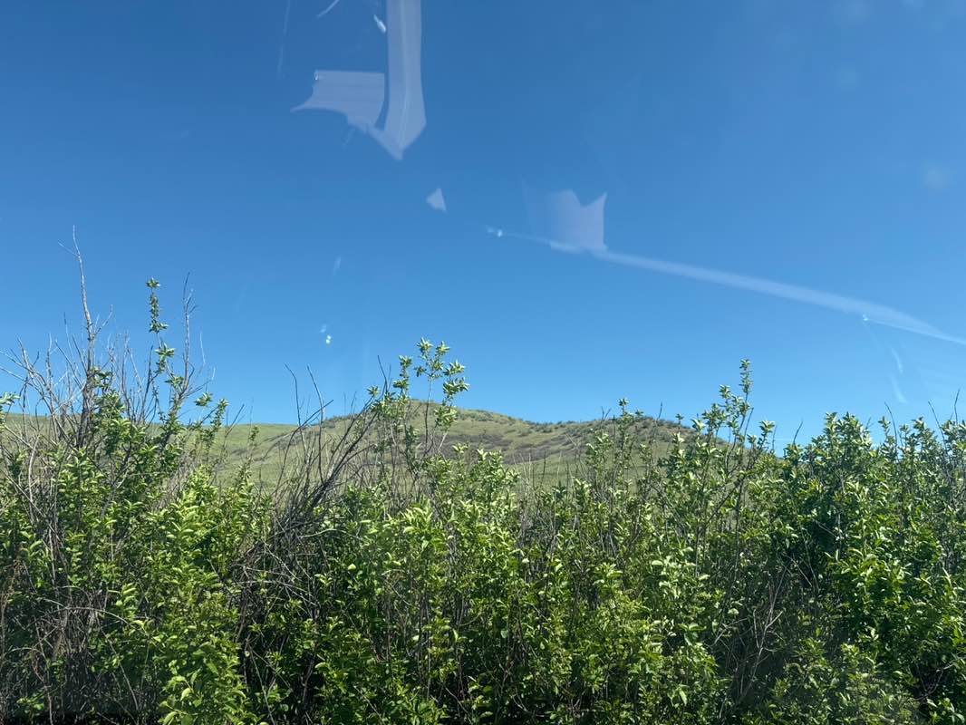 walking near me in William Frederick Hayden Park in spring