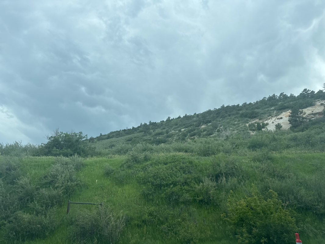 walking near me in Mount Glennon Park in summer