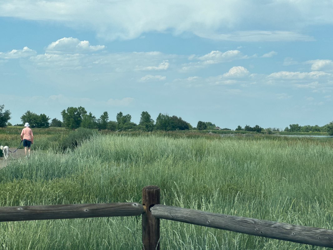 walking near me in Crown Hill Park in summer