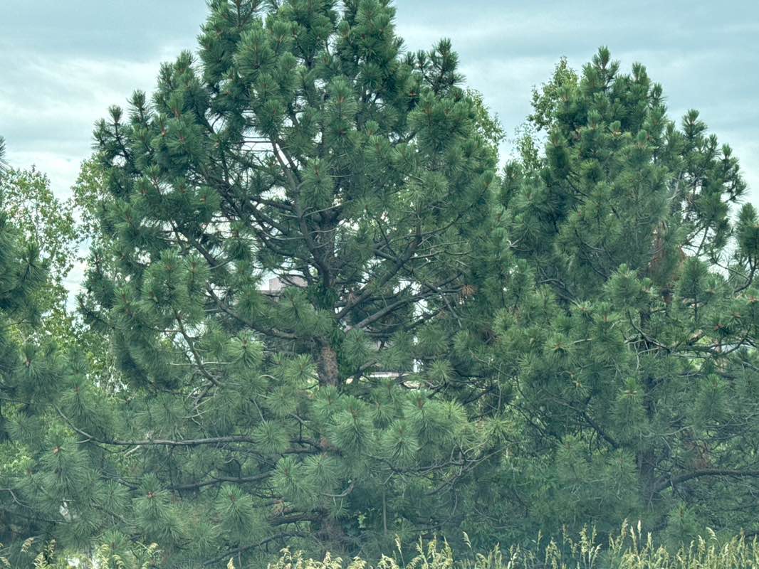 walking near me in Union Square Park in summer