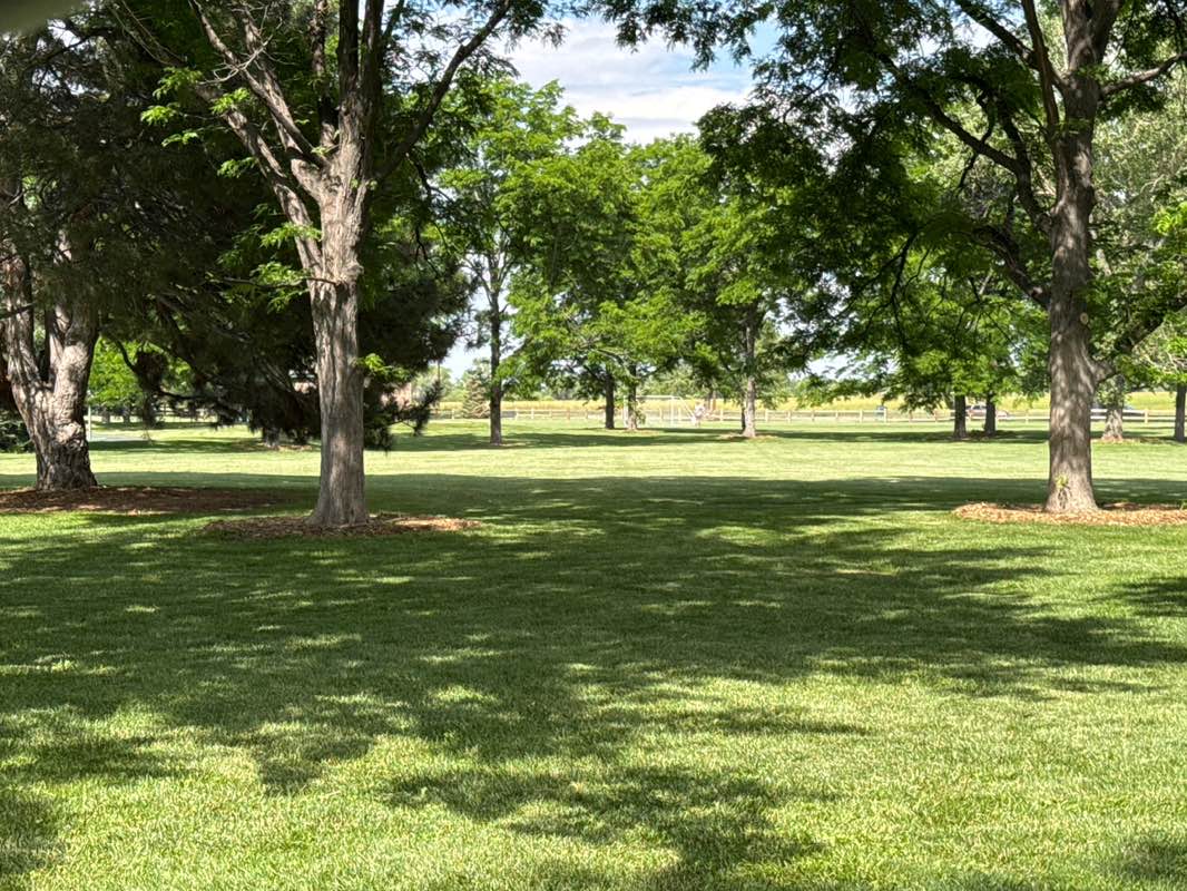walking near me in Paramount Park in summer
