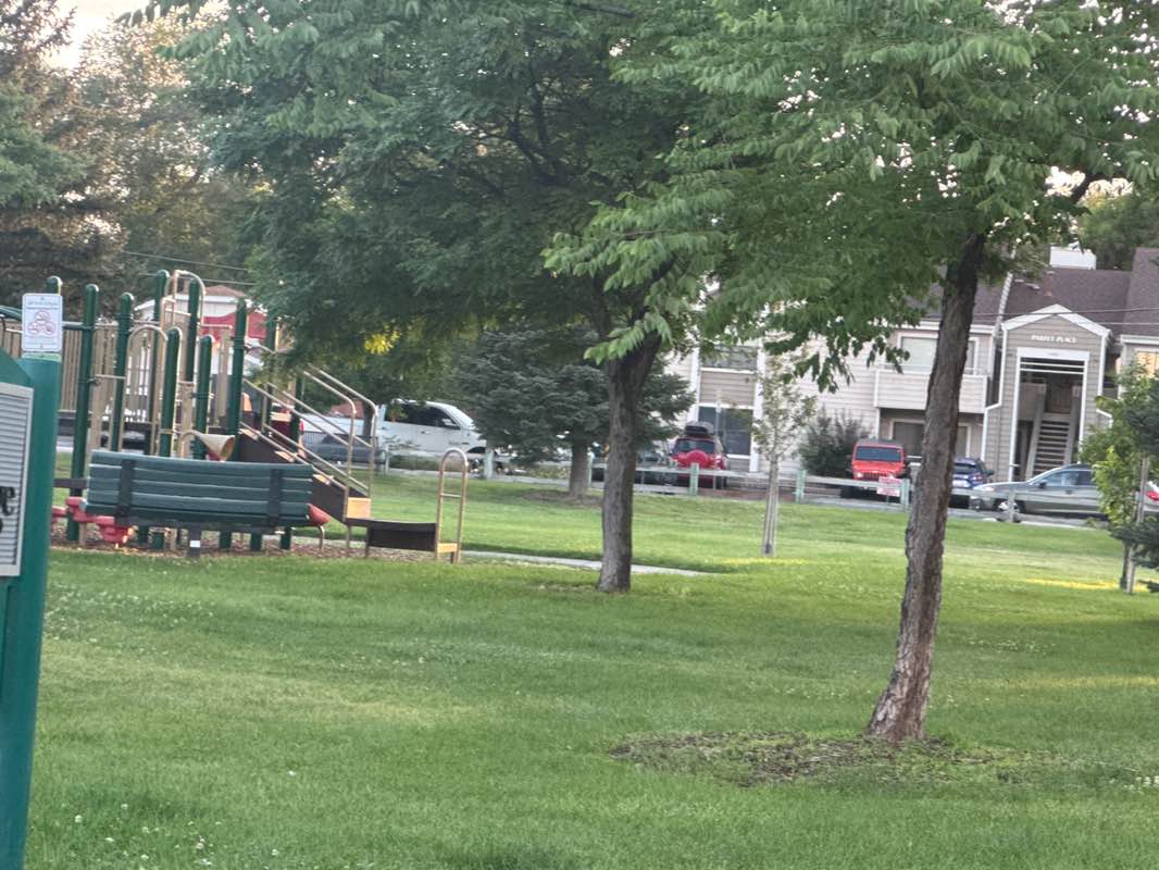 walking near me in Louise Turner Park in summer