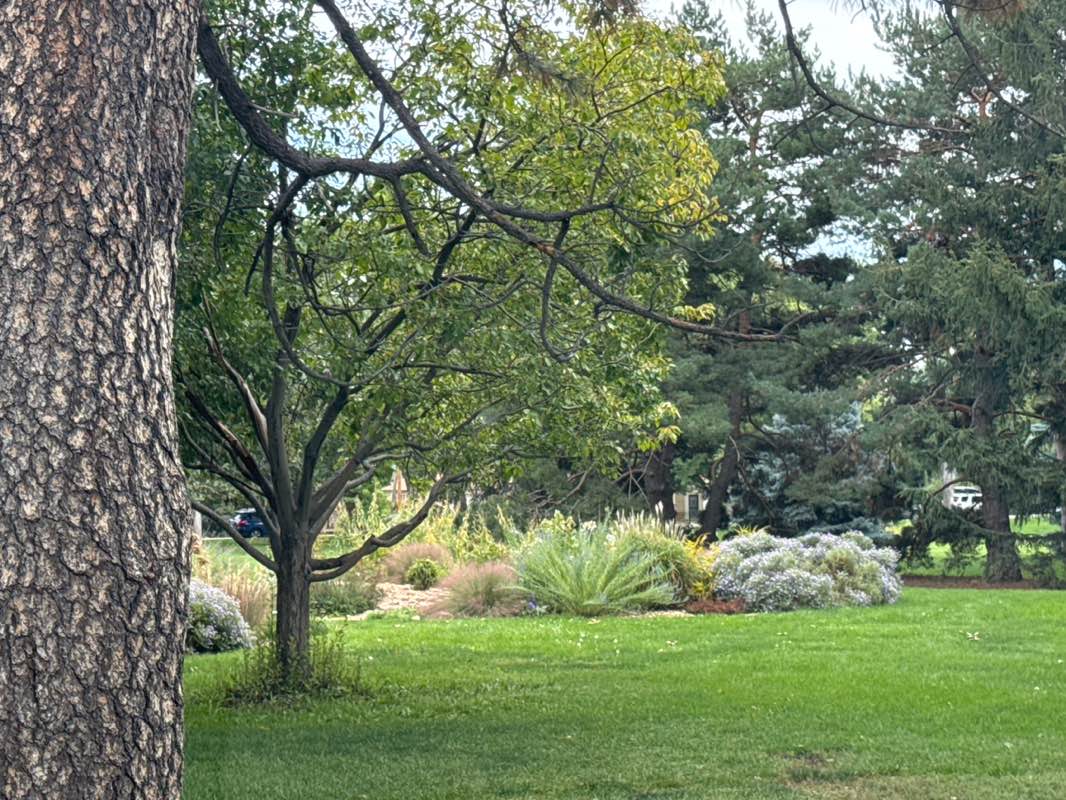 walking near me in Carl G Morse Park in autumn