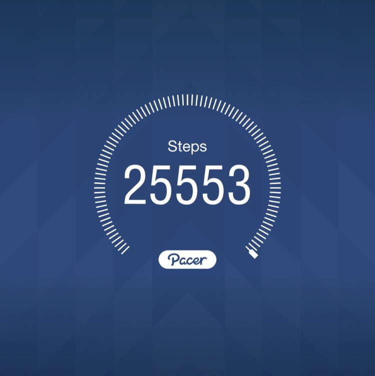 Srđan Vučković post 1