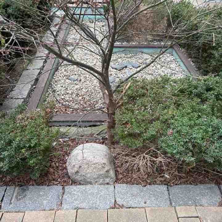 Samir 🇯🇴 🇵🇱 post 1